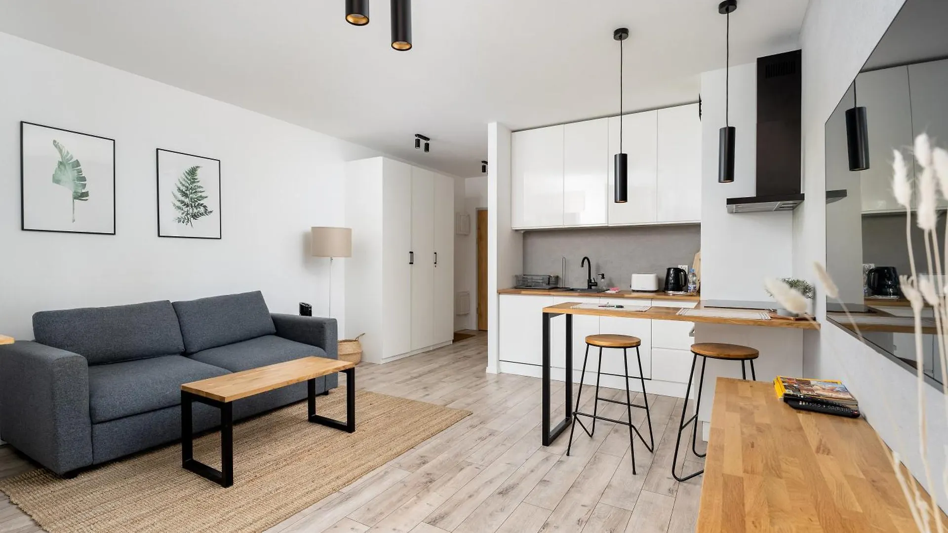 Prandoty Standard Studio Apartment Krakow